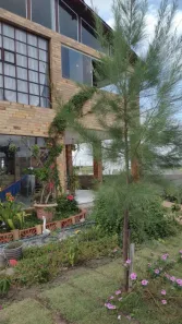 Casa com 4 Quartos à venda, 320m² no Centro, Cruz do Espírito Santo