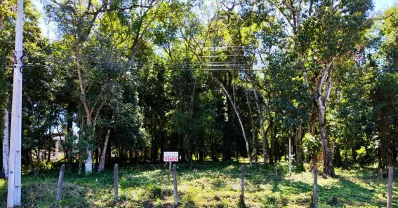 Lote/Terreno à venda, 12300m² no Cataratas, Foz do Iguaçu
