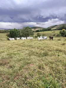 Fazenda/Sítio com 3 Quartos à venda, 121000m² no , Monte Santo de Minas