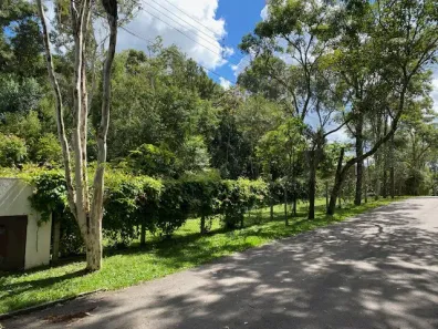 Lote/Terreno à venda, 609m² no São Lourenço, Curitiba