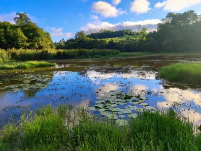 Fazenda/Sítio com 1 Quarto à venda, 125598m² no , Sao Miguel Arcanjo