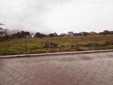 Lote/Terreno à venda, 6613m² no São João do Rio Vermelho, Florianópolis