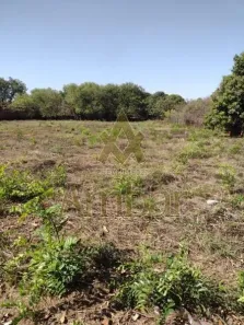 para venda ou aluguel, 5000m² no Recreio das Acácias, Ribeirão Preto