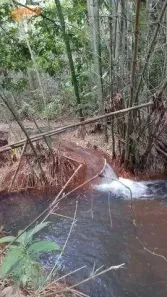 Lote/Terreno à venda, 640000m² no Guabiraba, Recife