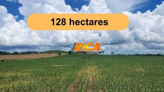 Fazenda/Sítio à venda, 128m² no Rio Preto do Candeias, Candeias do Jamari