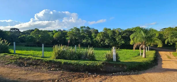 Fazenda/Sítio à venda, 6000m² no Campestre da Faxina, São José dos Pinhais