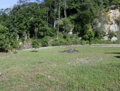 Lote/Terreno à venda, 22450m² no Ponta de Baixo, São José