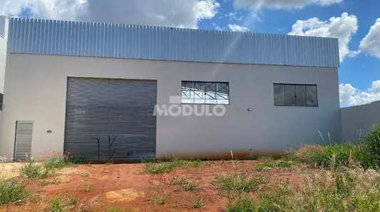 Galpão/Depósito/Armazém para alugar, 400m² no Custódio Pereira, Uberlândia