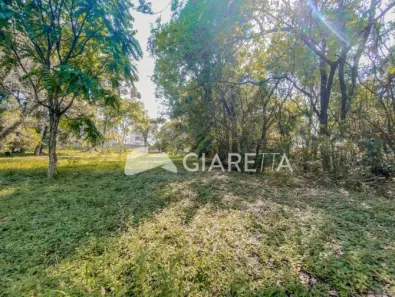 Fazenda/Sítio à venda, 11000m² no Jardim Concórdia, Toledo