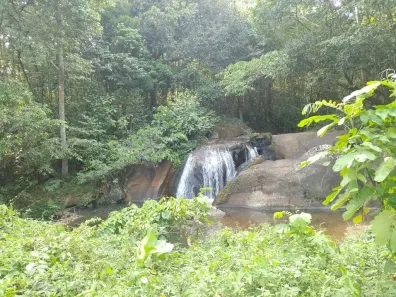 Fazenda/Sítio com 7 Quartos à venda, 49736m² no Borralho, Camaragibe