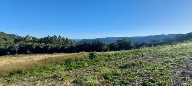 Lote/Terreno à venda, 60000m² no , Picada Café