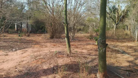 Lote/Terreno à venda, 500m² no Conjunto Habitacional Engenheiro Otávio Rasi, Bauru