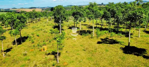 Fazenda/Sítio à venda, 230000m² no Ponto Chique do Martelo, Barbacena