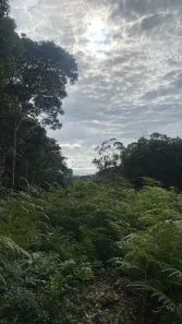 Lote/Terreno à venda, 20000m² no Macacu, Garopaba