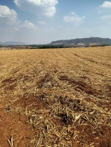 Fazenda/Sítio à venda, 254100m² no , Altinópolis