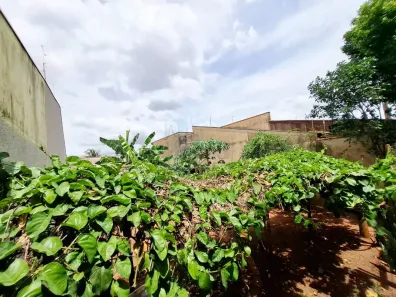 Lote/Terreno à venda, 160m² no Jardim Ouro Branco, Ribeirão Preto