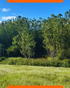 Lote/Terreno à venda, 500m² no Cachoeira, Cotia