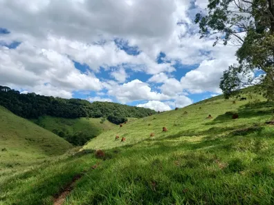 Fazenda/Sítio com 1 Quarto à venda, 245000m² no , Santos Dumont