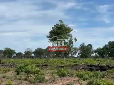 Fazenda/Sítio à venda, 500m² no , Cocalinho