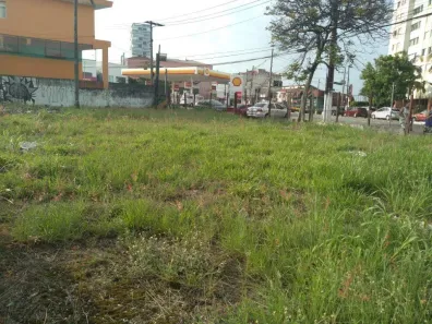 Lote/Terreno para alugar, 1100m² no Vila Romana, São Paulo