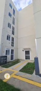 Apartamento com 2 Quartos para alugar, 50m² no Dona Mercedes, Gravataí