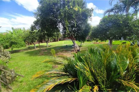 Lote/Terreno à venda, 144m² no Santa Cruz, Gravataí