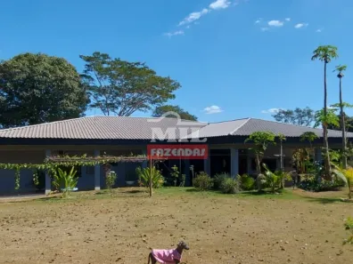 Fazenda/Sítio à venda, 5000m² no Setor Central, Goiânia