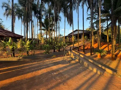 Fazenda/Sítio com 4 Quartos à venda, 20000m² no Sítios de Recreio dos Bandeirantes, Goiânia