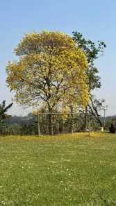 Fazenda/Sítio com 4 Quartos à venda, 42000m² no , Itu