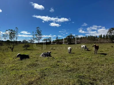 à venda, 92000m² no Centro, Américo Brasiliense