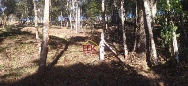 Lote/Terreno à venda, 3170m² no Jd do Embaixador, Campos do Jordão