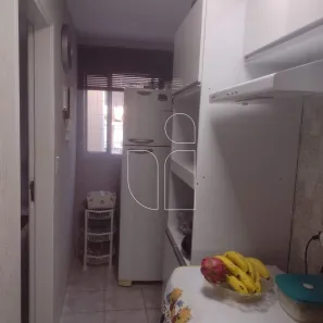 Casa com 3 Quartos à venda, 203m² no Fragata, Marília