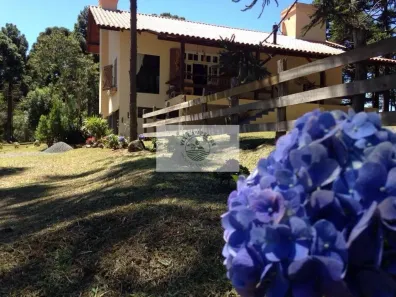 Fazenda/Sítio com 6 Quartos à venda, 30000m² no , Campo Alegre