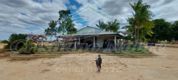 Fazenda/Sítio com 2 Quartos à venda, 10m² no Said Salomão, Boa Vista