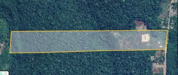 Fazenda/Sítio à venda, 262800m² no , Presidente Figueiredo