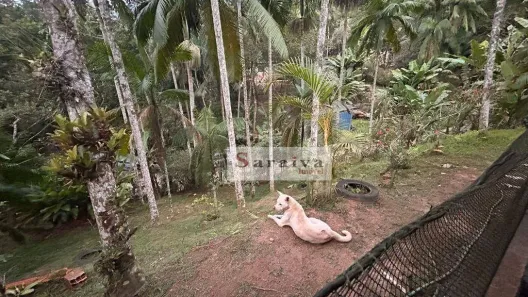 Fazenda/Sítio com 1 Quarto à venda, 2000m² no Curucutu, São Bernardo do Campo