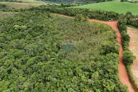 Lote/Terreno à venda, 654300m² no , Liberdade