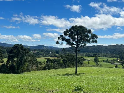 Fazenda/Sítio à venda, 20000m² no , Urubici