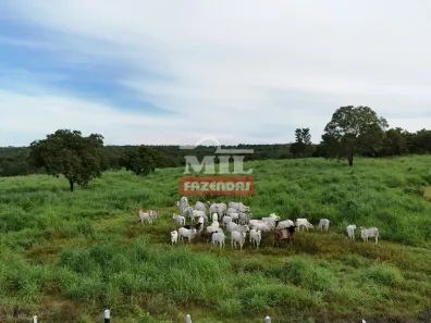 Fazenda/Sítio com 3 Quartos à venda, 500m² no Setor Central, Gurupi