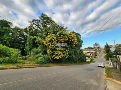 Lote/Terreno à venda, 726m² no Floresta, Joinville