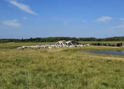Fazenda/Sítio com 2 Quartos à venda, 200m² no São Vicente de Paula, Araruama