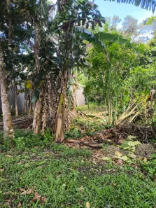 Lote/Terreno à venda, 33m² no Jardim Fênix, Itanhaém