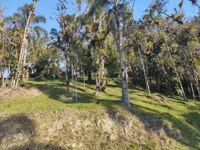 Fazenda/Sítio à venda, 1000m² no Centro, Campo Alegre