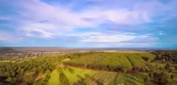 Fazenda/Sítio com 1 Quarto à venda, 244000m² no , Zé Doca