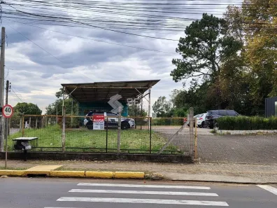 Lote/Terreno para alugar, 1600m² no Centro, Nova Santa Rita
