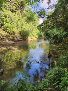 Fazenda/Sítio com 3 Quartos à venda, 48000m² no , Bela Vista de Goiás