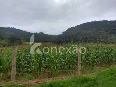 Fazenda/Sítio com 1 Quarto à venda, 90m² no Natividade da Serra, Natividade da Serra