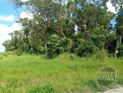 Lote/Terreno à venda, 450m² no Balneário Betáras, Matinhos