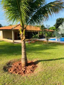 Fazenda/Sítio com 4 Quartos à venda, 300m² no , Regente Feijó