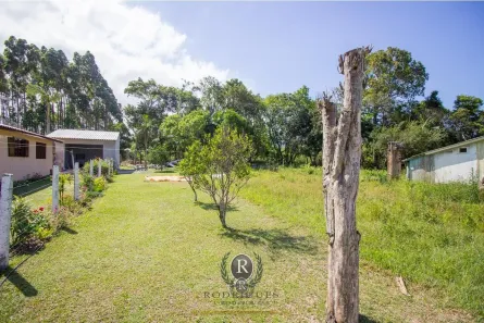 Fazenda/Sítio à venda, 1m² no Zona Rural, Dom Pedro de Alcântara